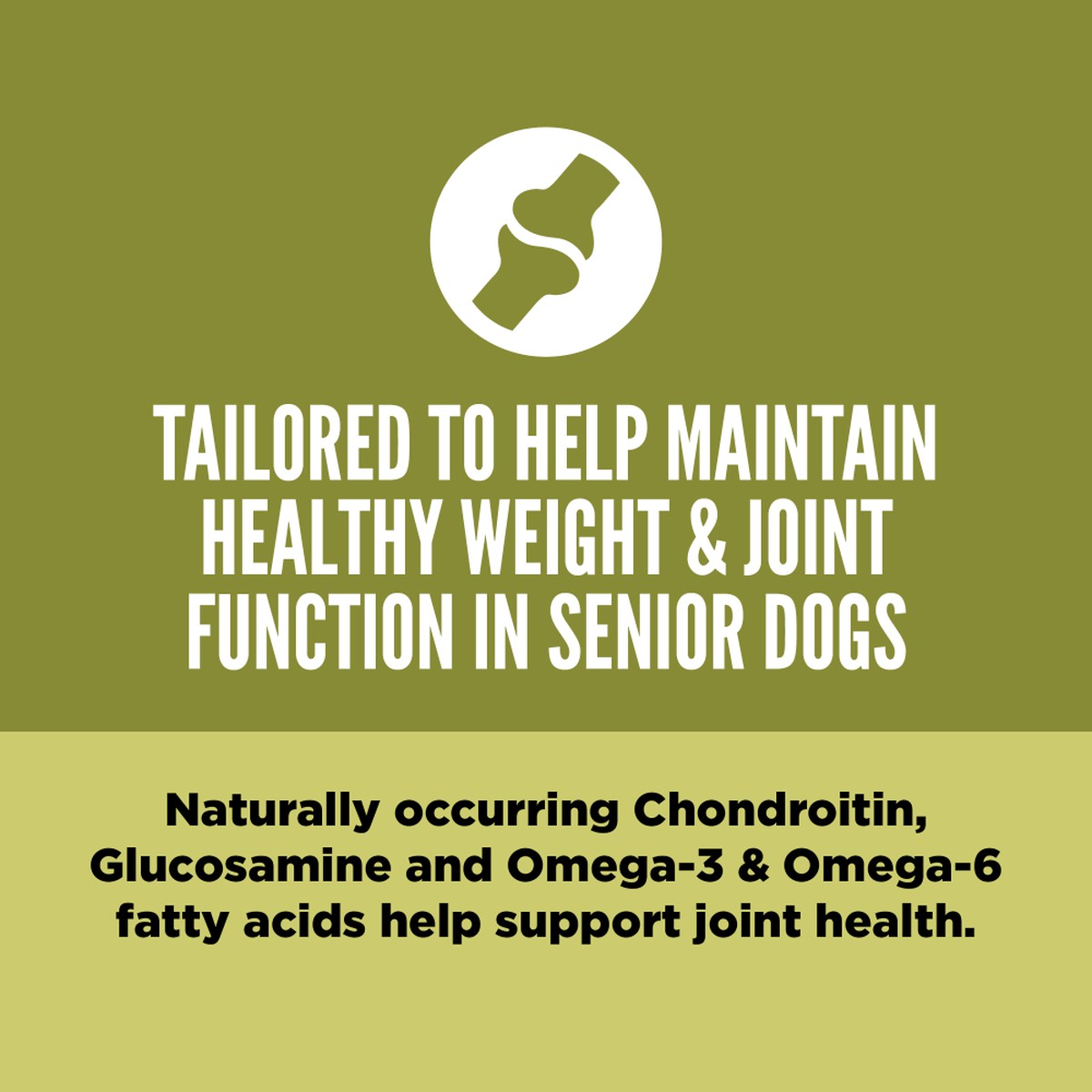 Orijen Senior Grain Free Dry Dog Food 4.5lb / 2kg | 37590-SBQA