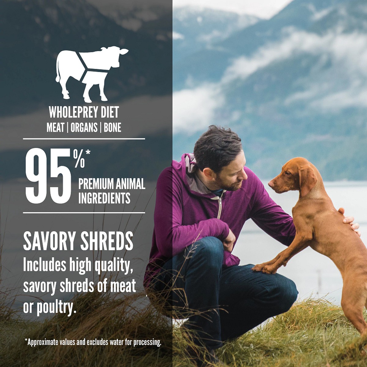 Orijen Tundra Stew Recipe with Shredded Beef, Duck & Lamb Grain Free Wet Dog Food 12.8oz*12 / 363kg | 68794-GMXD